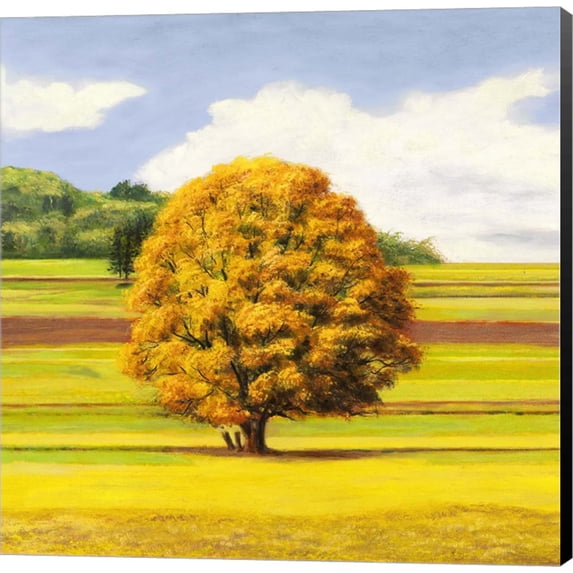 Pianure Serene I (detail) by Angelo Masera, Canvas Wall Art, 24W x 24H