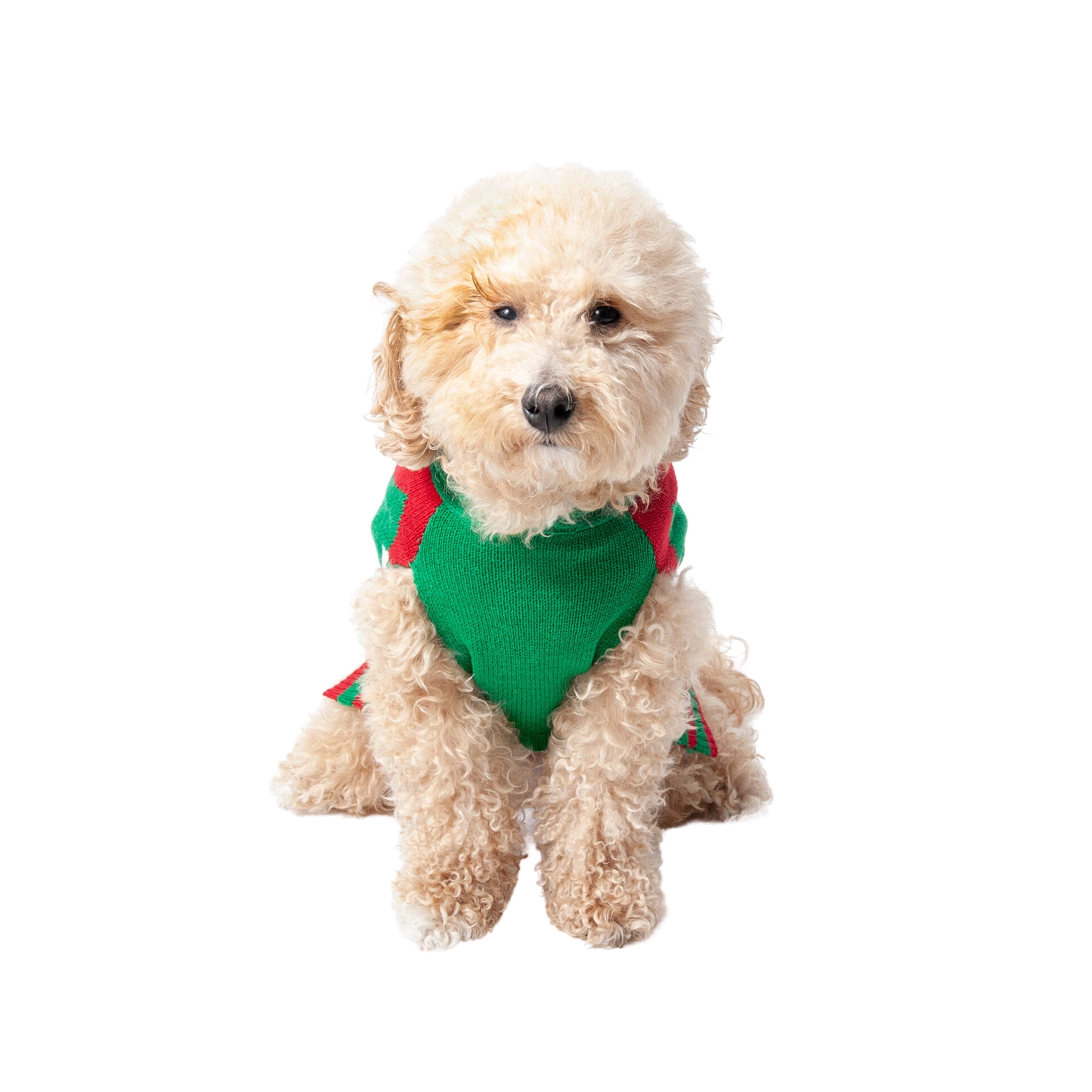 Vibrant Life Holiday Dog Clothes Green Elf with Hood Sweater, Extra Large
