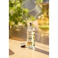 thumbnail image 2 of The Body Shop Satsuma Body Mist 100ml, 2 of 3