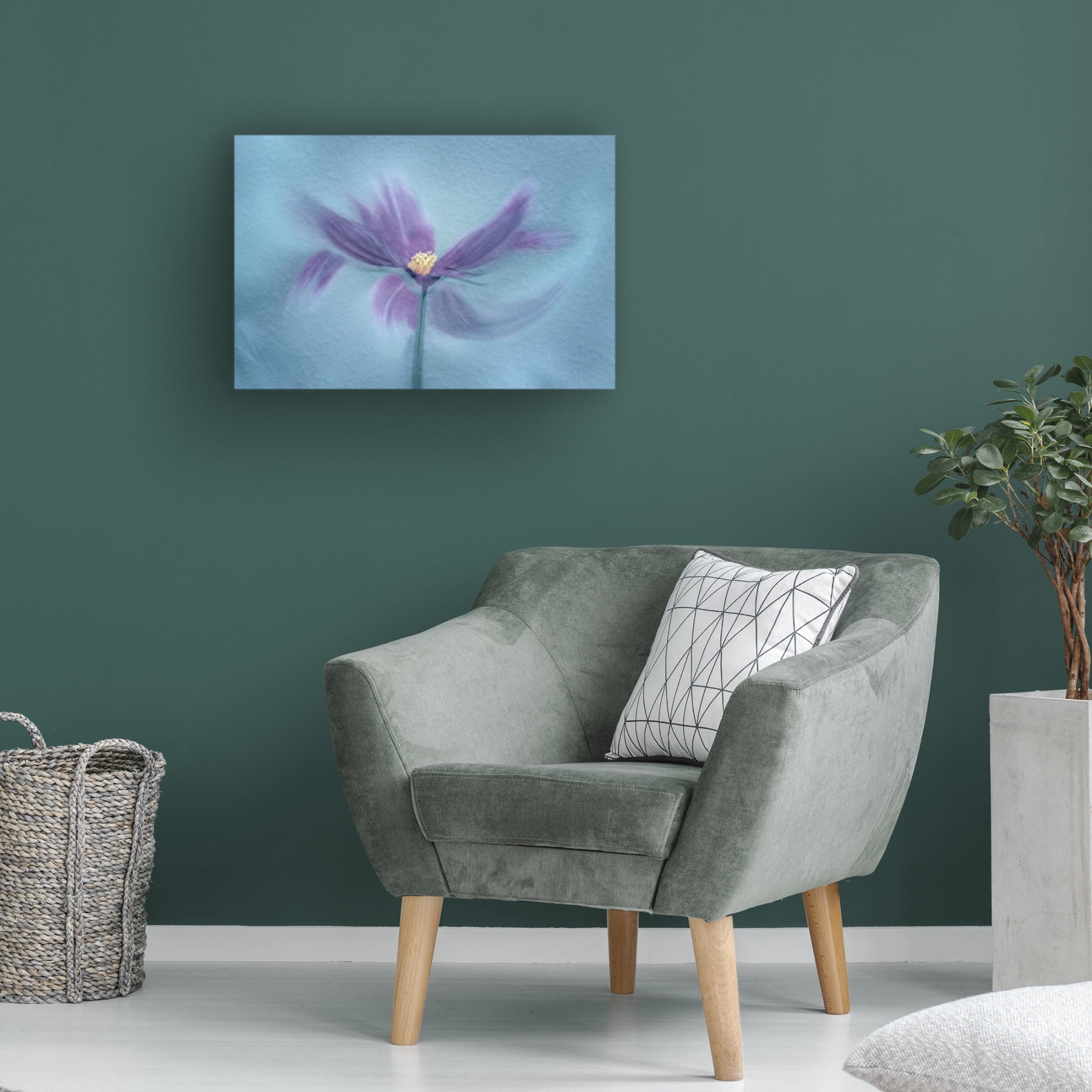 Canvas Wall Art - Molly Fu 'My Favorite Cosmos' Wall Art for Living Room, Bedroom, or Office D?cor by Trademark Fine Art - 24 x 16 Inches