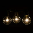 thumbnail image 3 of G50 LED Warm White String Lights with White Wire, 3 of 7