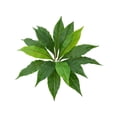 thumbnail image 2 of Artificial Fake Plants Greenery for Home Decor | Lifelike Plastic Foliage for Indoor and Outdoor Decoration | No Maintenance Artificial Shrubs for Living Room Office Shelf Garden | Set of 1, 2 of 6
