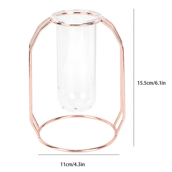 Maceta de Vidrio de Metal Transparente Planta hidropónica floreros de Menta Scindapsus para Mesa hogar Sala de Estar Decoraciones de Oficina(Rose Gold) Ecomeon no