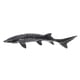 thumbnail image 1 of Squiz Toys Ocean Animals Kids Kids Bath Toys Fake Chinese Sturgeon Fish Fish Figures Fish Photography Prop, 1 of 2