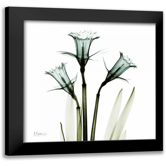 Koetsier, Albert 12x12 Black Modern Framed Museum Art Print Titled - Three Daffodils in Green