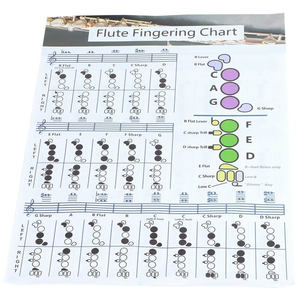 Tabla De Acordes De Flauta, Blanco Fácil De Entender Rendimiento De Entintado Suave Tabla De Acordes De Digitación De Flauta Para Práctica Instrumento De Ayuda Para La ANGGREK L(56x40cm)