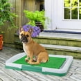 thumbnail image 6 of Puppy Potty Trainer with 5 Artificial Grass Mats, 6 of 9