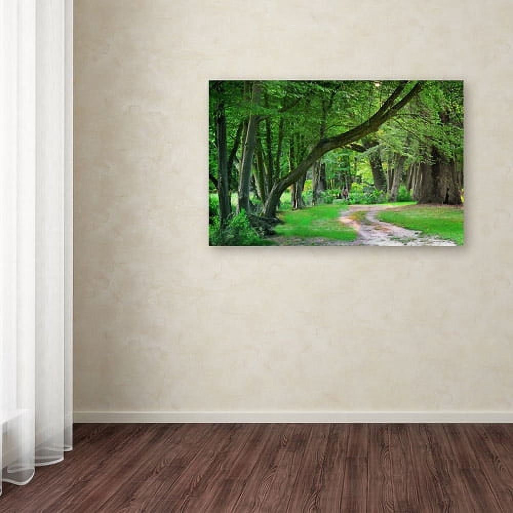 Trademark Fine Art "Intimate Landscape" Canvas Art by Philippe Sainte-Laudy