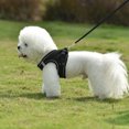 thumbnail image 3 of DegGod - Juego de arnés y correa para perros pequeños, sin tirones, ajustable, reflectante, para mascotas, transpirable, suave, para cachorros, perros pequeños y medianos, para caminar al aire libre MFZFUKR CPB-US-XAH98-3, 3 of 6