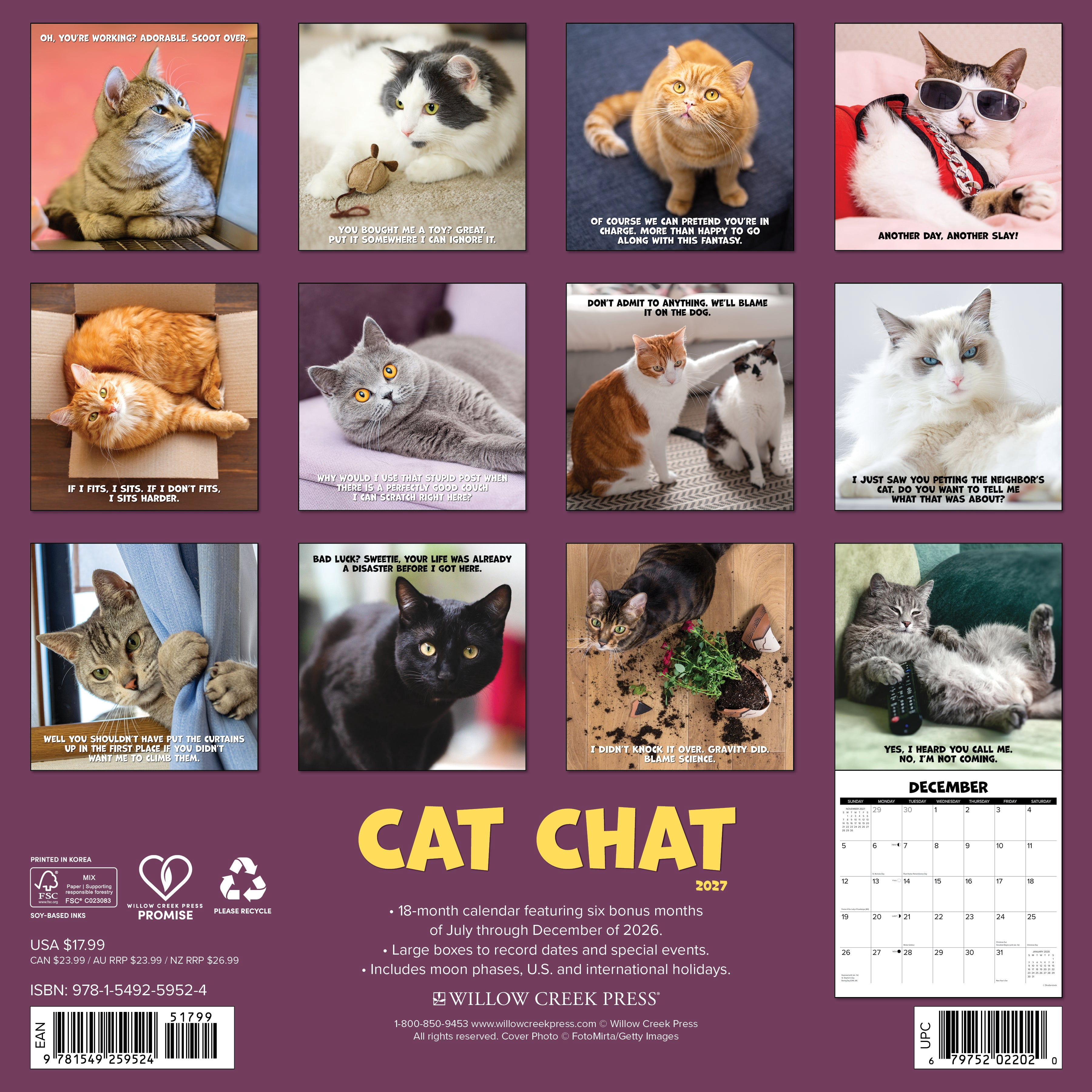 Willow Creek Press, Cat Chat 2027 Wall Calendar