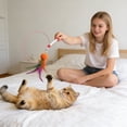 thumbnail image 4 of Cat Teaser Toy with 96 cm Telescopic Plastic Rod, Multi-Color Feathers with Bell, Spring Rotation, Durable and Washable Interactive Toy for Cat Exercise and Training, 4 of 6