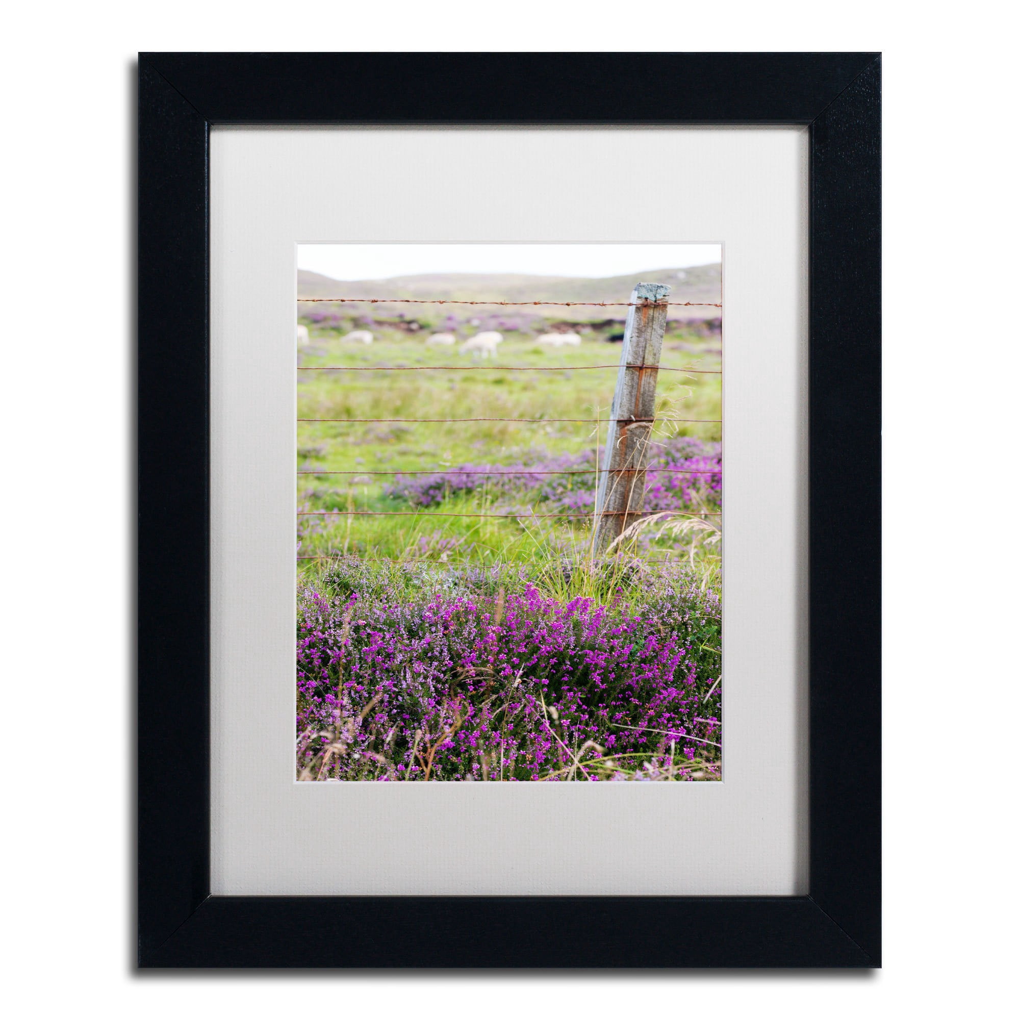 Trademark Fine Art "Symbol" Canvas Art by Philippe Sainte-Laudy, White Matte, Black Frame