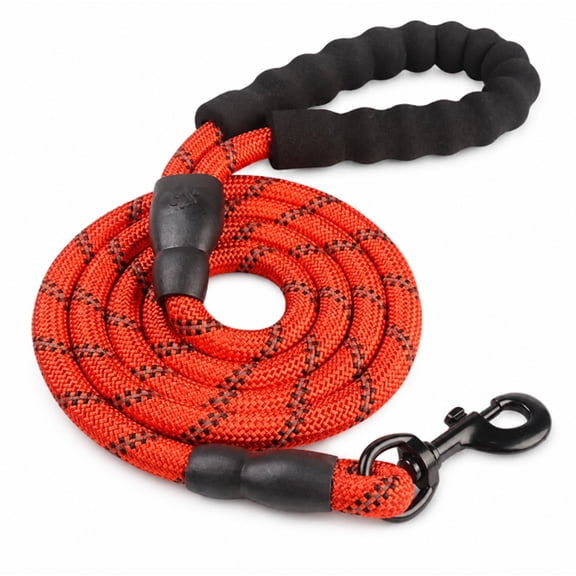 5 ft Nylon Dog Leash with Padded Handle, Reflective Thread Leash for Medium and Large Dogs, TIKA