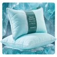 thumbnail image 1 of Set 2 Almohadas Heaven Pillow con Relleno Down Alternative | Almohada Cervical Extra Suave Relleno de Microfibras con Gel | Firmeza: Suave | Hipoalergénica | Almohada Estandar (50 cm x 65 cm), 1 of 10