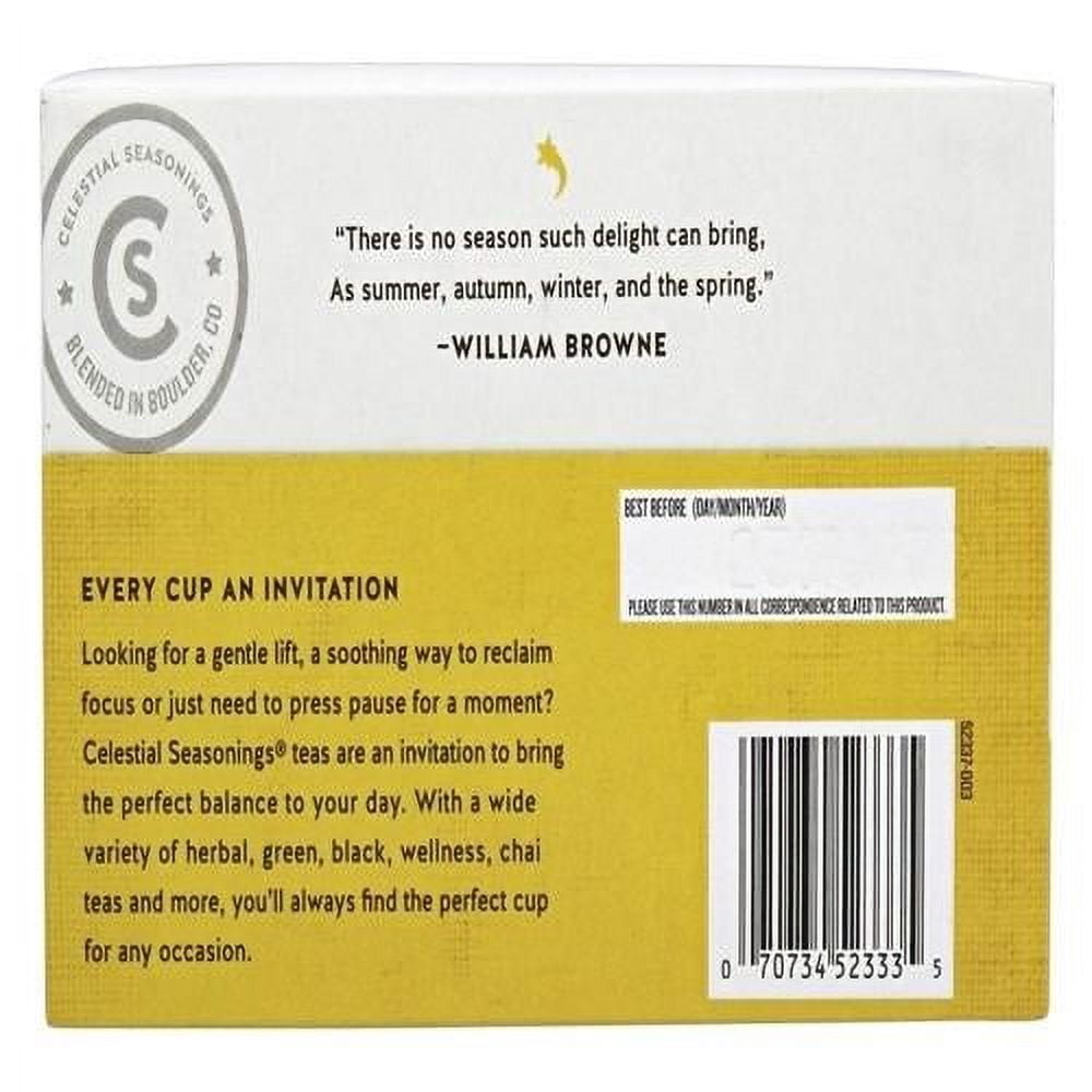 Celestial Seasonings Herbal Tea, Jammin Lemon Ginger, 20 Count Box - Pack of 2