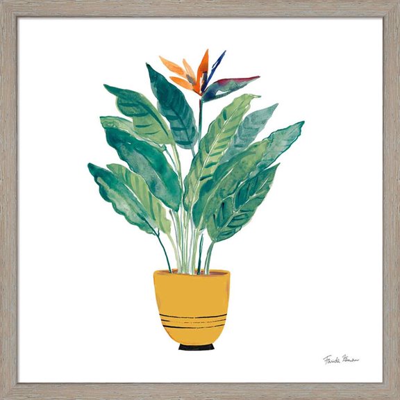 Great Art Now Potted Jewels III by Farida Zaman, Framed Wall Art, 17W x 17H