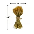 thumbnail image 5 of Bergamo Art Preserved Decorative Wheat Standing Topiary Plant in Gold, 5 of 5