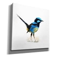 thumbnail image 2 of Epic Graffiti 'Bird Collection 21' by Ata Alishahi, Giclee Canvas Wall Art, 18"x18", 2 of 8