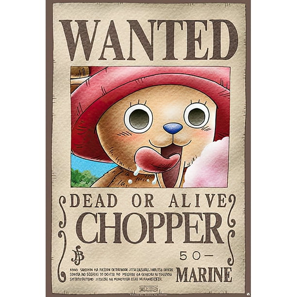 One Piece Manga Anime Tv Show Poster Print Wanted Chopper Clear Poster Hanger Walmart Com
