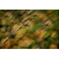 thumbnail image 2 of Geyman, Vitaly 14x11 White Modern Wood Framed Museum Art Print Titled - Nature Softness I, 2 of 4
