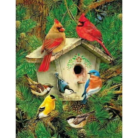 Feathered Retreat 500 Piece Adult Jigsaw Puzzle- Colorful Birds Perched on a Birdhouse