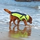 thumbnail image 5 of High Quality Winter Jacket For Dog Red Dog Clothes With Harness Autumn Dog Coat Pet Clothing for Small Large Pet Supplies Dogs ShopWise Round, 5 of 10