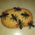 thumbnail image 4 of FRCOLOR Jouet Fourmi 50 Pcs Figurine Animale Jouet Simulé Insecte Farce Fournitures de Fête d'Halloween, 0.59"X0.39"X0.08 Pouces, 4 of 4