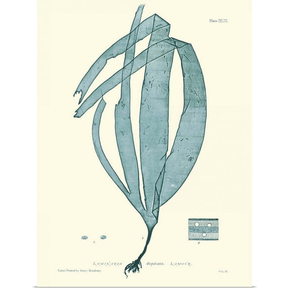 Great BIG Canvas | Rolled Vision Studio Poster Print entitled Nature Print in Aqua II