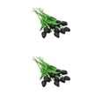 thumbnail image 3 of Advancent 10 bolsas añaden elegancia a la boda con decoración de flores de plantas verdes como flores. negro 2Conjunto, 3 of 6