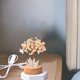 thumbnail image 5 of Lámpara De Cristal De Cuarzo Blanco Natural Con Base Led Árbol Feng Shui Para El Hogar Luz Nocturna De Piedra, 5 of 5