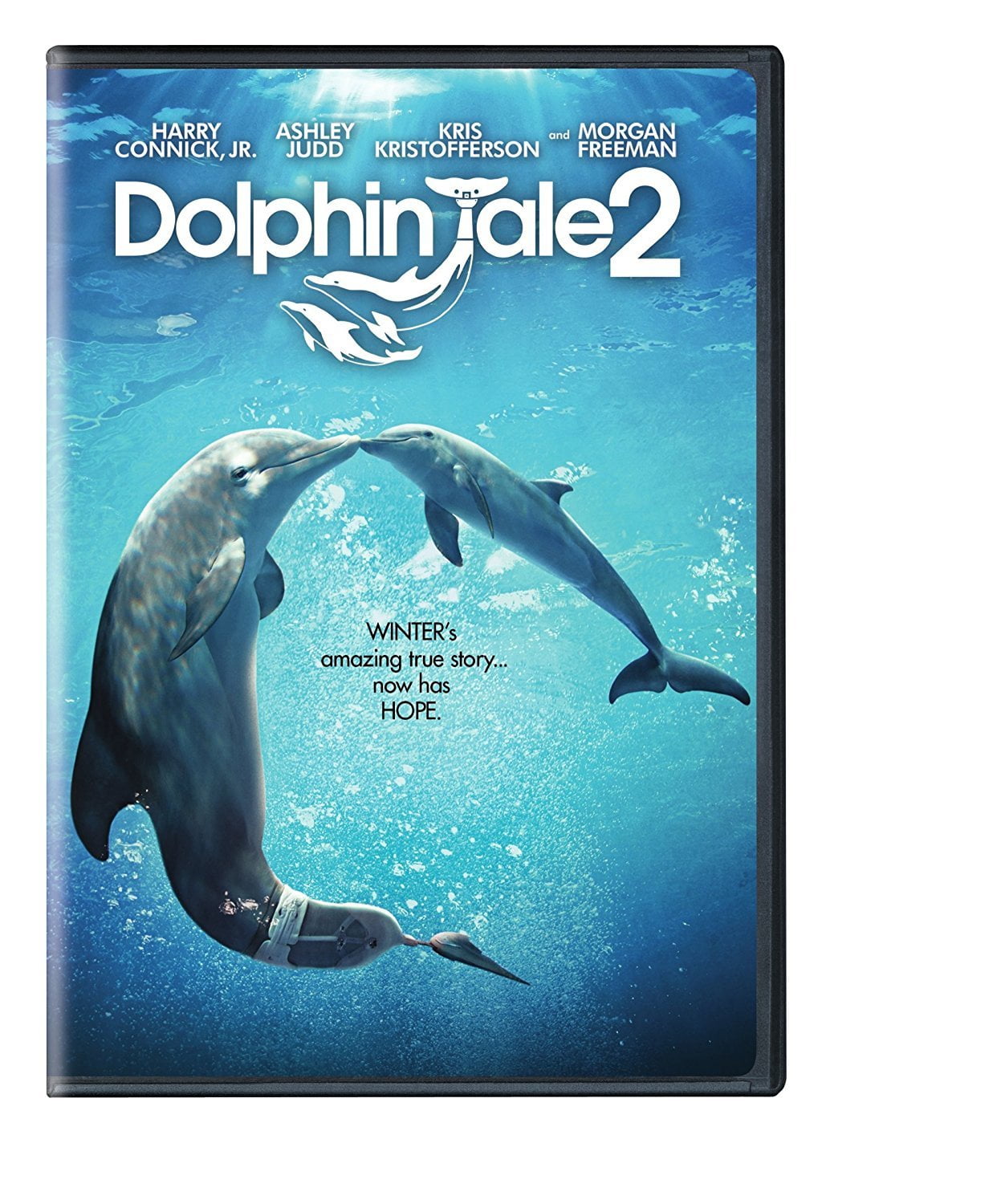 その他 Dolphin Adventures [DVD] Dolphin Adventures (DVD) – Michael Wiese Productions