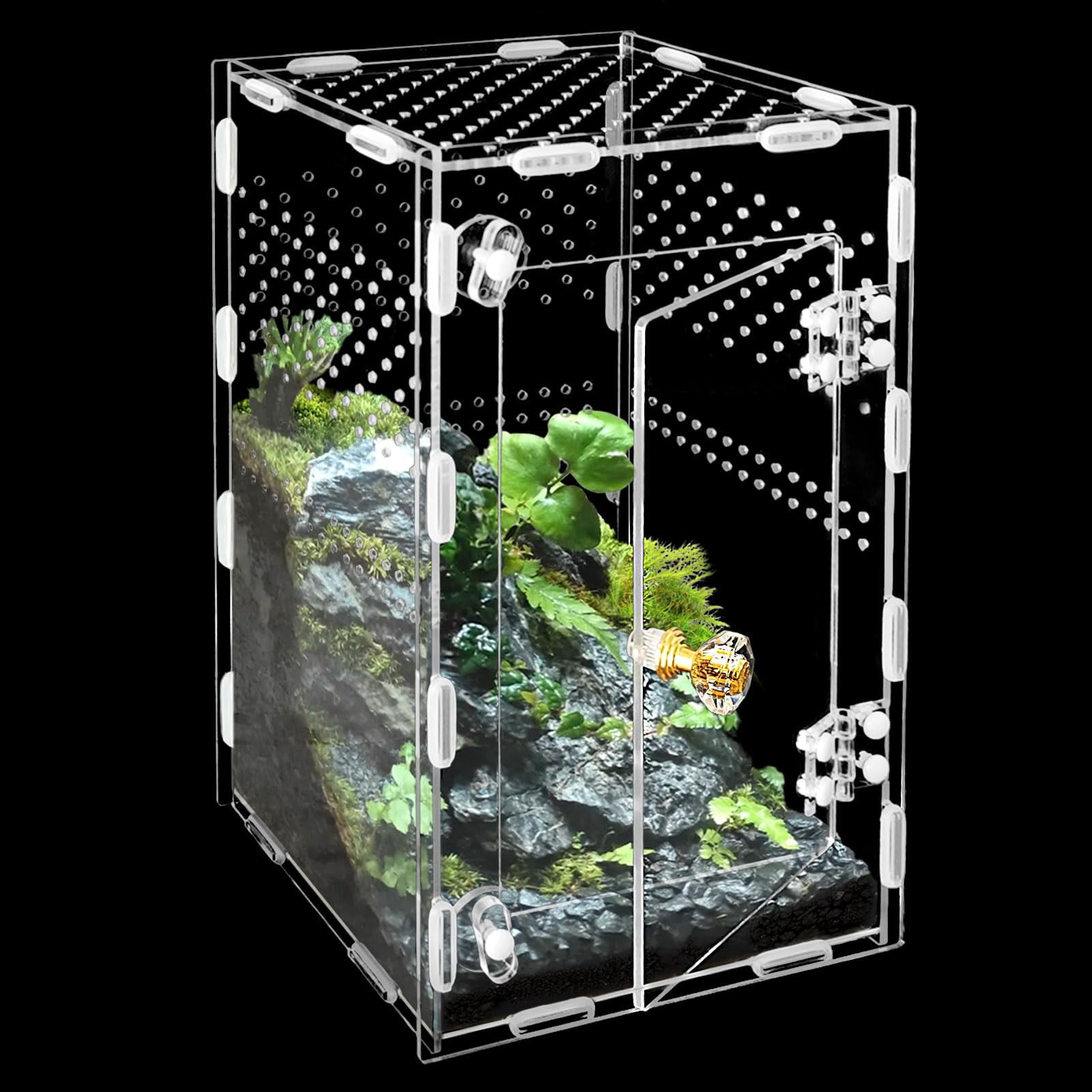 Acrylic Jumping Spider Enclosure Box: Transparent Habitat with Ventilation Holes, Escape-Proof Terrarium for Reptile Pet, Easy to Clean & Observe