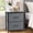 Gray, variant on Nextay Nightstand Set 2, 2 Drawer Dresser for Bedroom, Bedside Furniture, End Table for Bedroom, Closet, Entryway, Black