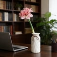 thumbnail image 4 of karymi Artificial Clivia Amaryllis Flower 1pcs Faux Realistic Blooms Tall 25.19 In Home Decor Wedding Centerpiece Vase Floral Arrangement House Decor, 4 of 6