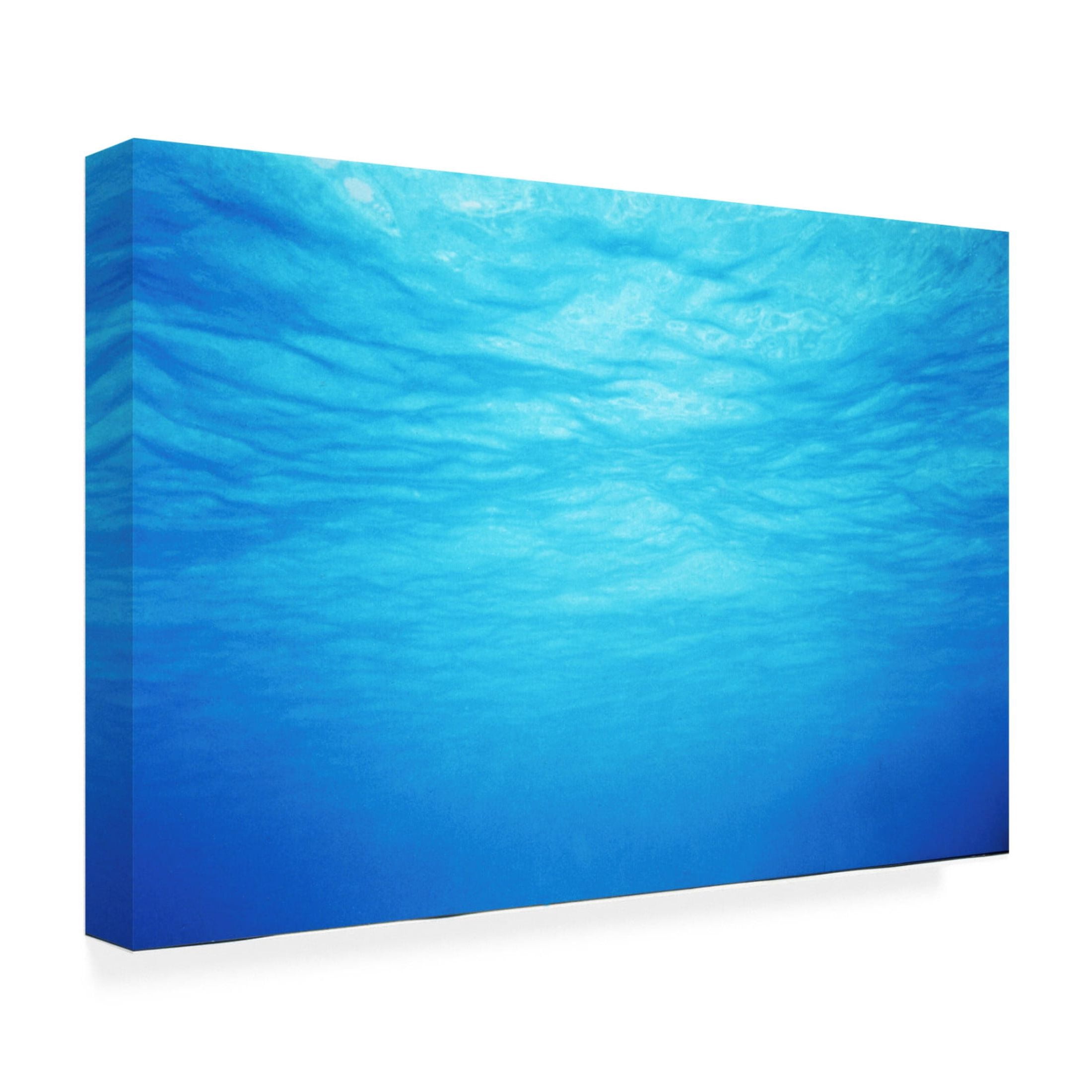 Canvas Wall Art - Clive Branson 'Underwater' Wall Art for Living Room, Bedroom, or Office Décor by Trademark Fine Art - 47 x 30 Inches