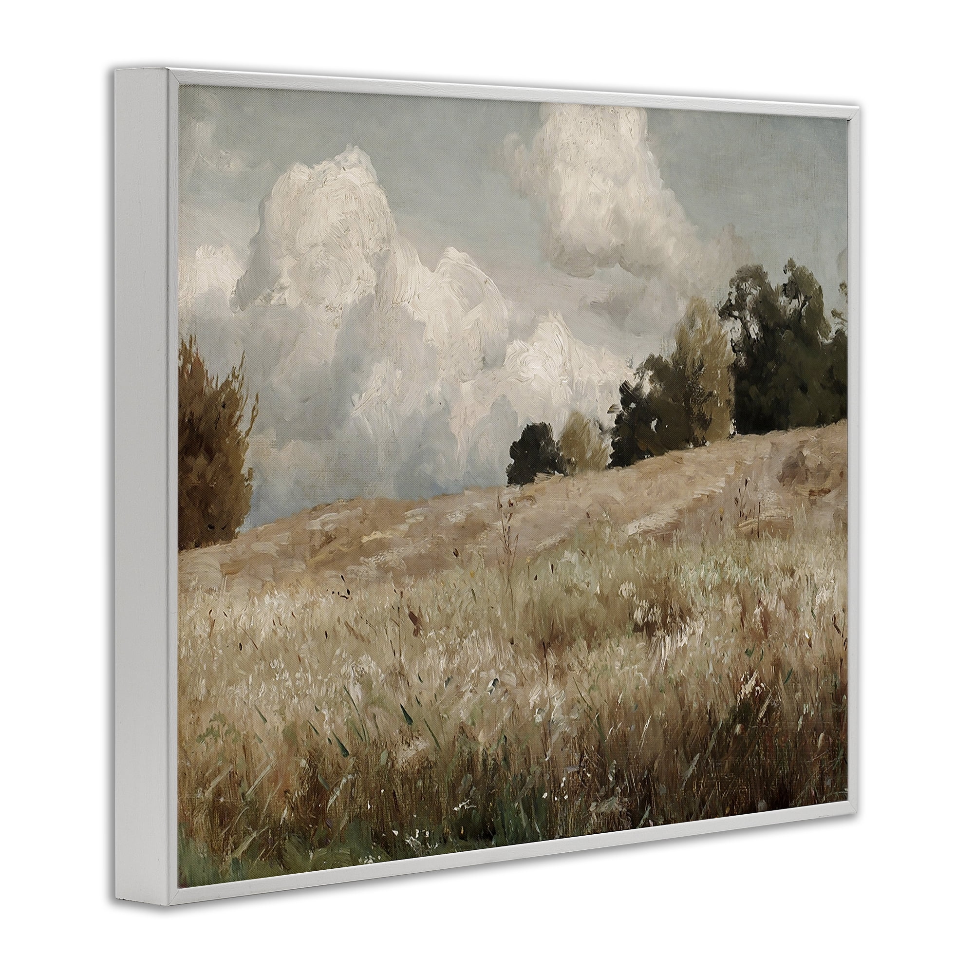 Classic Cloudy Field Landscape White Framed Giclee Art, 20 x 16