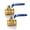 1'', variant on Female Threaded Brass Valves Switches With Ergonomic Grip High Efficiency Plunger Pumps Valves For Water, Oil and