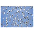 thumbnail image 1 of Art en Papier Europe-62"x42 Pouces, 1 of 1