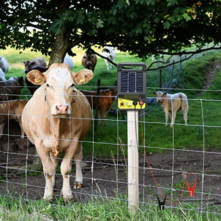 Durable Electric Fence Wire Connect The And Electric Fence Charger For  Controlling Invasive Animals