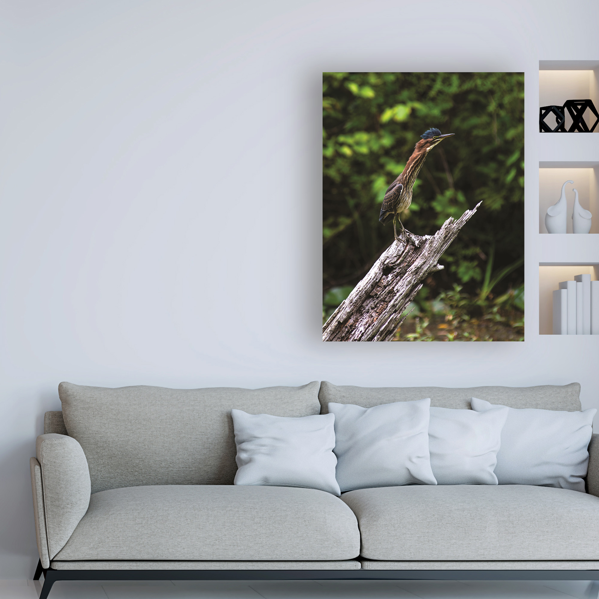 Trademark Fine Art 'The Green Heron' Canvas Art by Kurt Shaffer Photographs