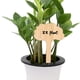 thumbnail image 4 of 36 etiquetas para jardín al aire libre, etiquetas para plantas de bambú, etiquetas para huertos, etiquetas para plántulas, adecuadas para flores y verduras suculentas, forma de árbol, 6 x, 4 of 5