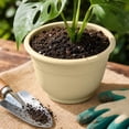 thumbnail image 6 of Voglyf 6.5 Inch Plant Pots for Indoor Outdoor,Plastic Floor Planters with Drainage Holes, Modern Round Grey Flower Pots For Succulents Vegetables Herbs House Plants Home Balcony Decor,Beige, 6 of 6