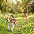 thumbnail image 4 of Vibrant Life Standard Dog Leash, 4 ft, Pink, Polyester, M, 4 of 10