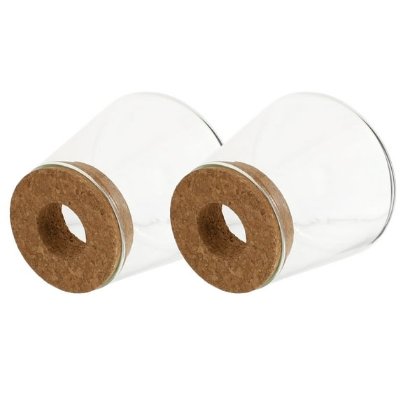 WHAMVOX 2 Pcs Propagation Vase Glass Eco Bottle Planter Vase Mother 9X9.5CM Transparent