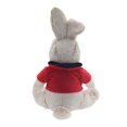 thumbnail image 5 of Flopsy Rabbit Plush, 5 of 5