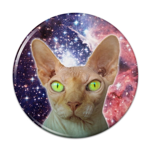 Sphynx Space Cat Pinback Button Pin