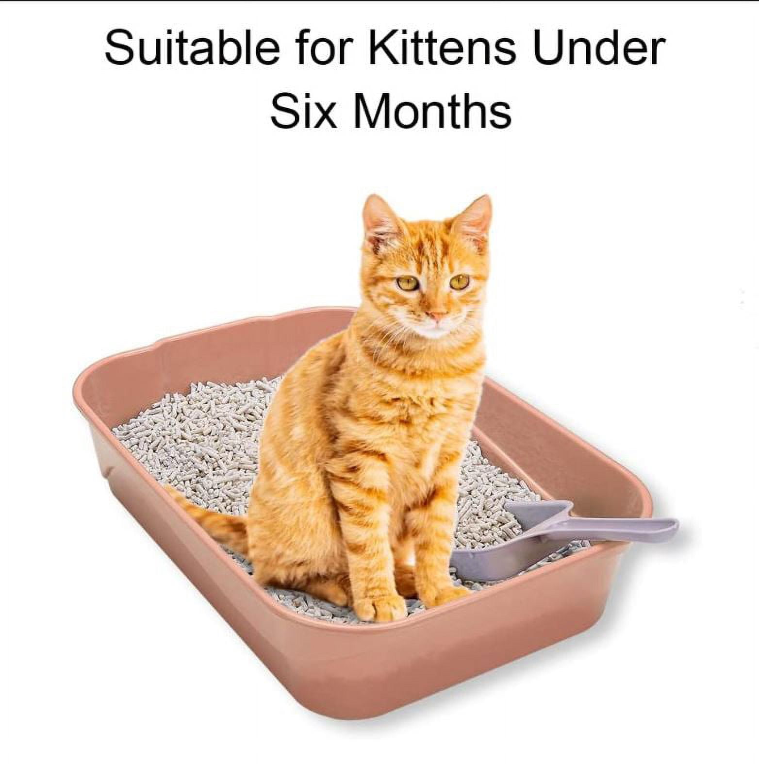 GreenJoy Kitty Litter Box Starter Kit - Without Lid Cat Litter Pan, Mat, Scoop and Bowl for Kitten
