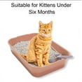 thumbnail image 2 of GreenJoy Kitty Litter Box Starter Kit - Without Lid Cat Litter Pan, Mat, Scoop and Bowl for Kitten, 2 of 7