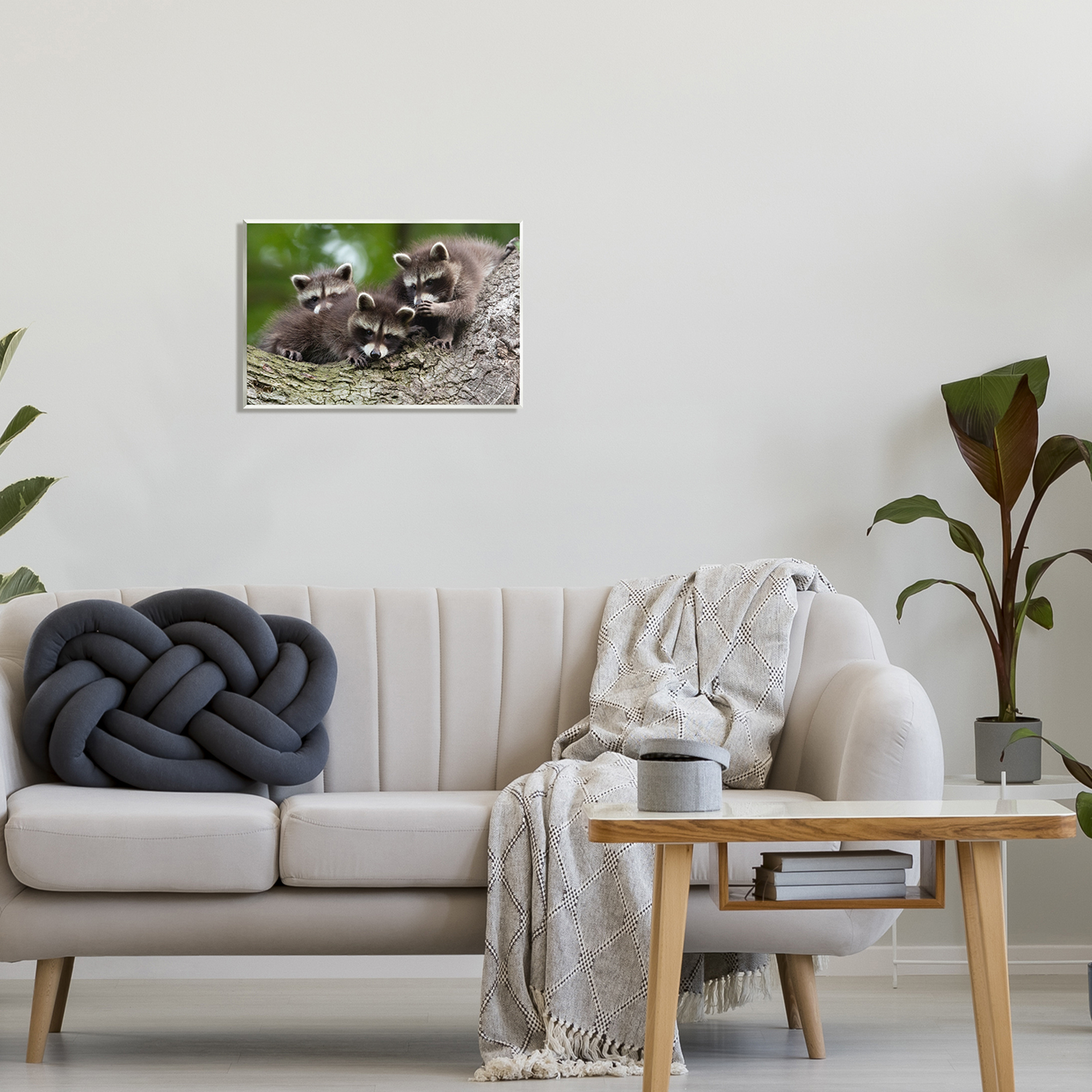 Stupell Industries Raccoon Babies in Tree Animals & Insects Photography Unframed Art Print Wall Art, 19 x 13