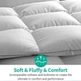thumbnail image 4 of APSMILE Queen Size Heavyweight Feathers Down Poly Cotton Comforter, White, 4 of 9